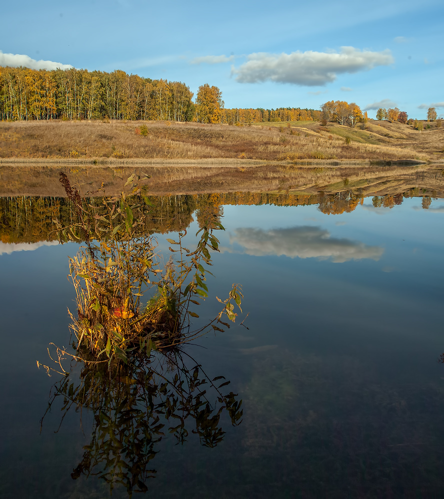 Отражение. 2