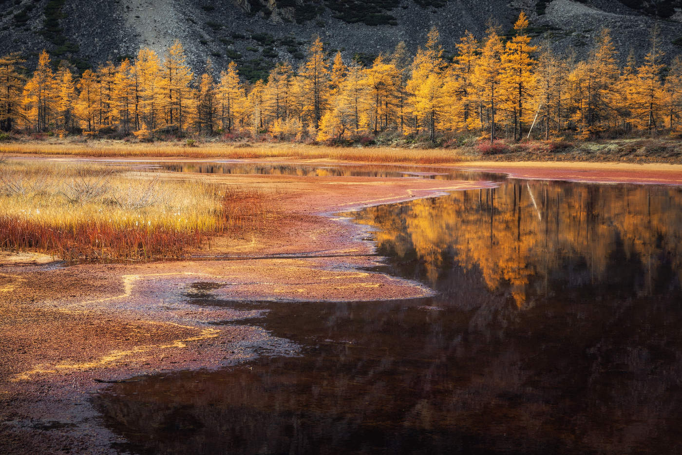 Золото на Юге