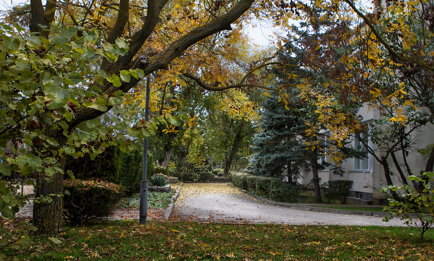 Осень в парке
