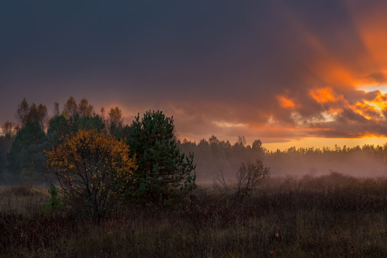 Закат. Осень.