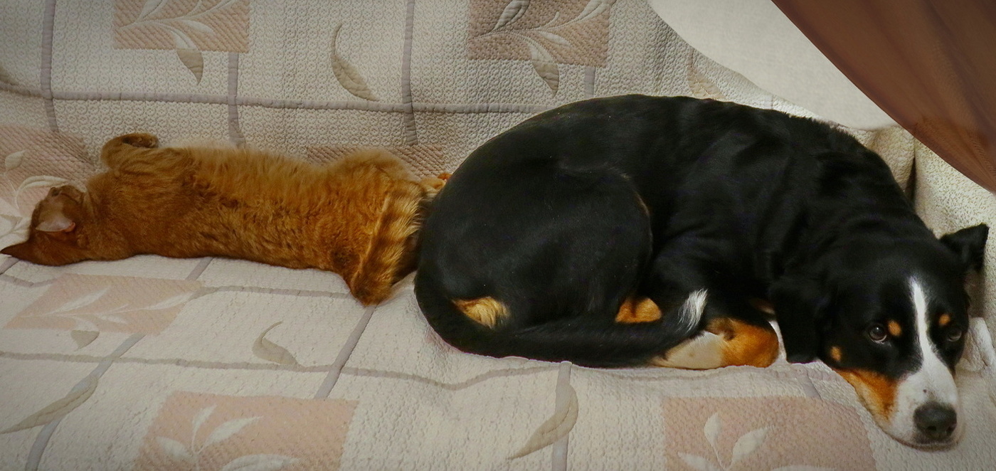 У друга хоть отдохнуть