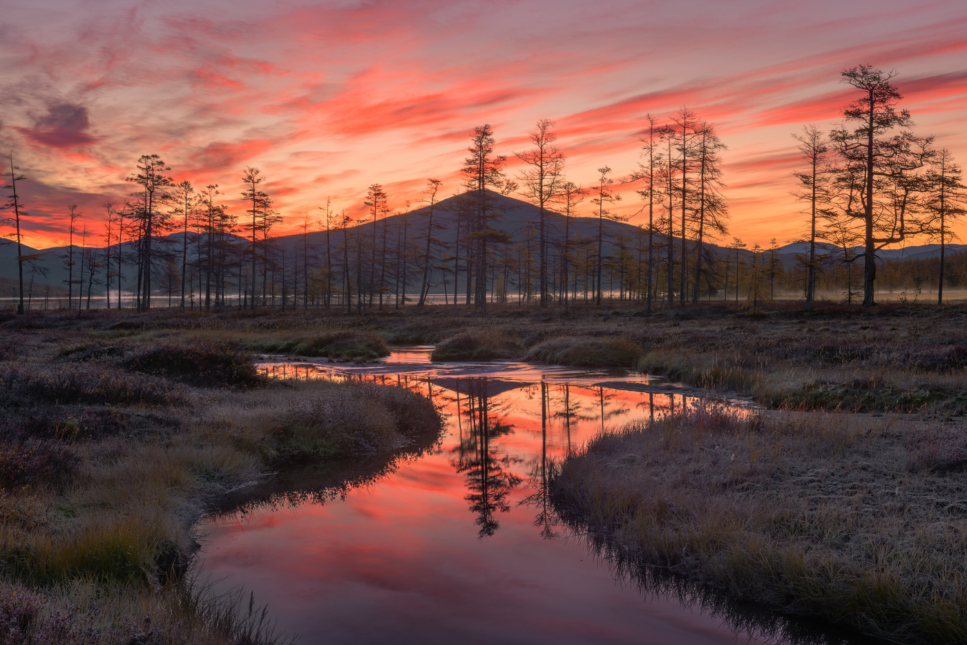 Утро на болотах...
