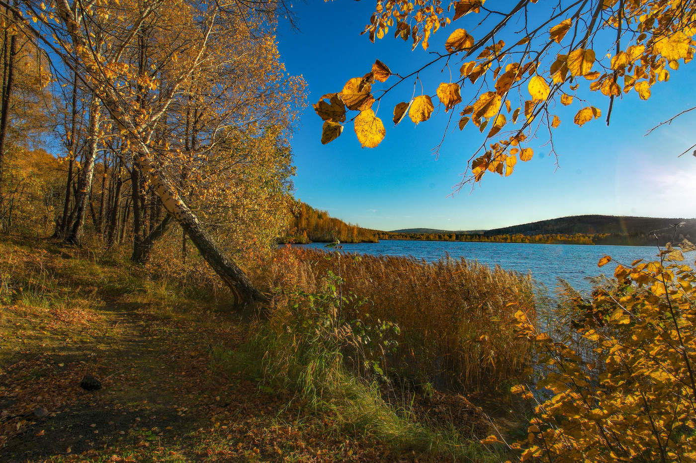 Осенний уголок