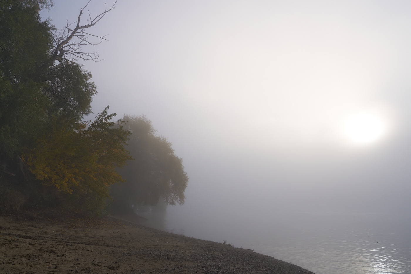 четверг в тумане