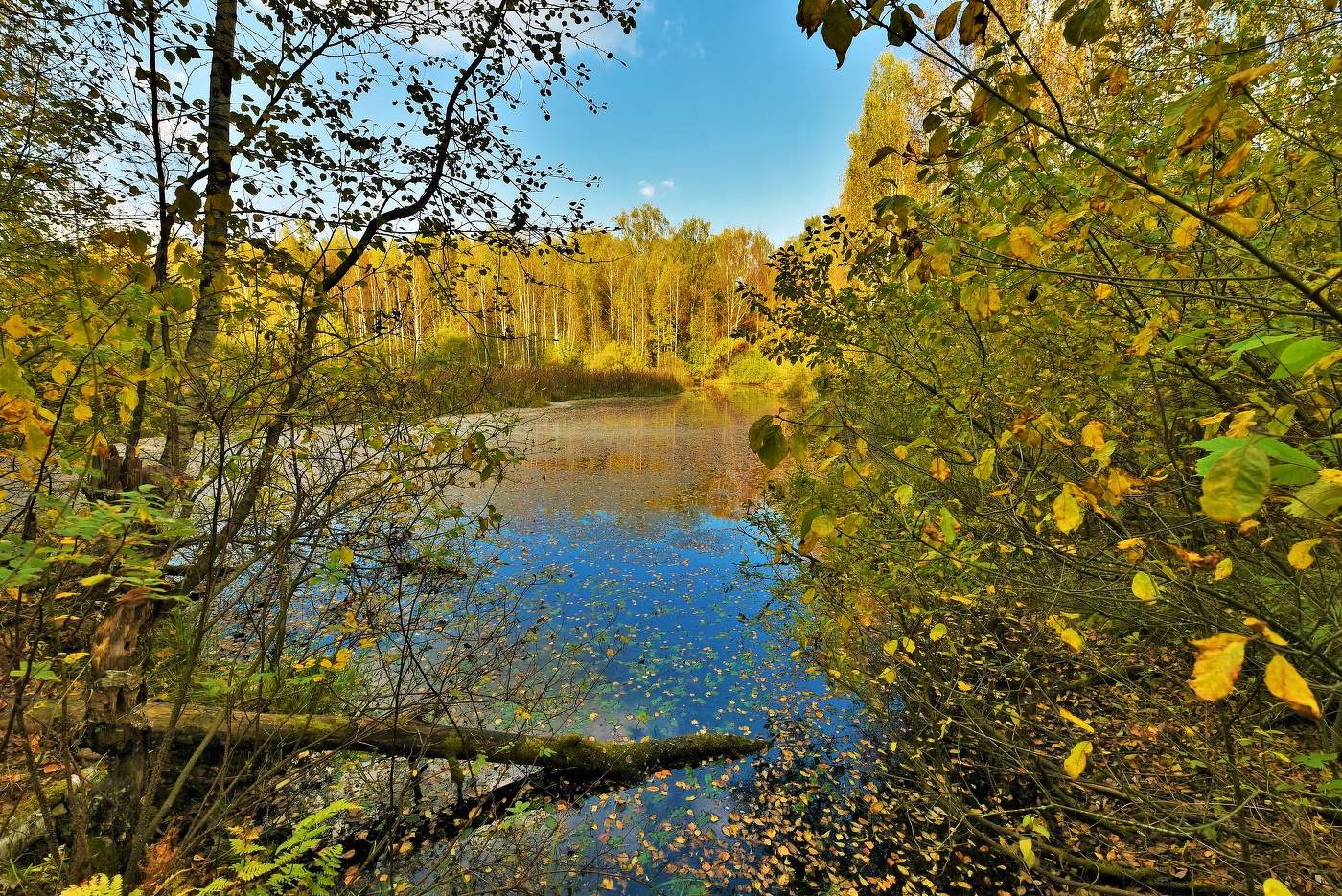 "Еще прозрачен воздух без дождей ..."