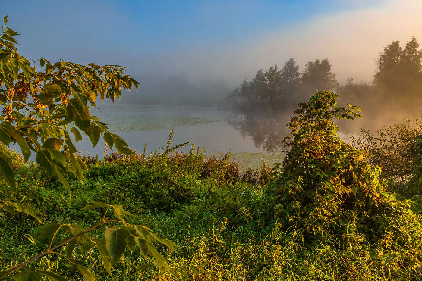 В сентябре.