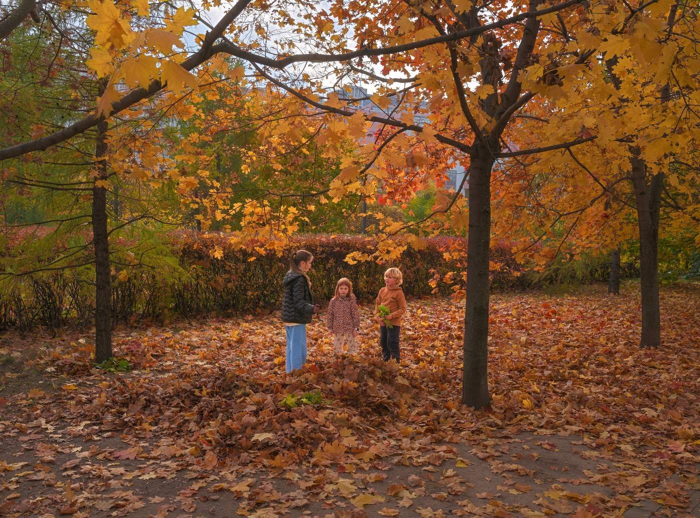 Осень на Ходынке