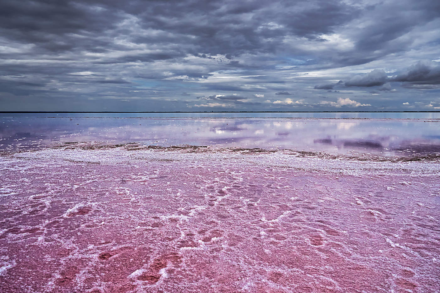 "Розовое" озеро