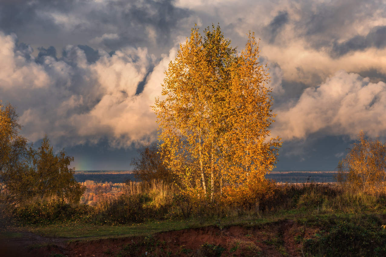Фрагменты осени