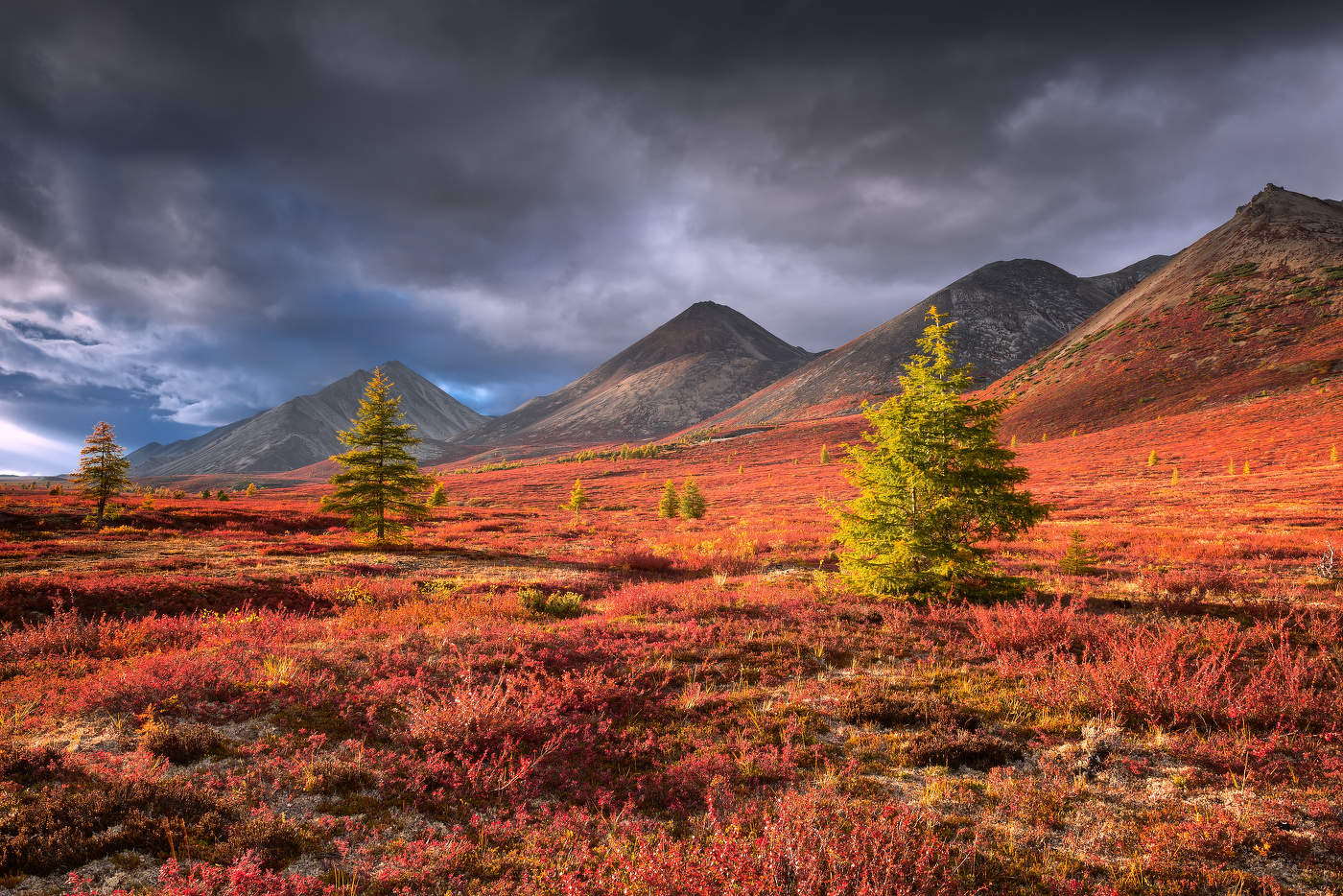 Три сестры...