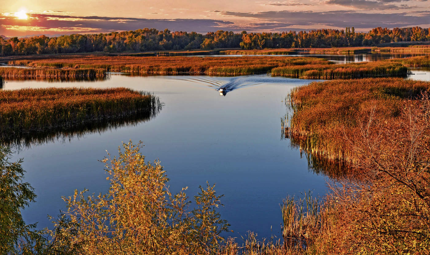 Волжские затоны. ( г. Энгельс)