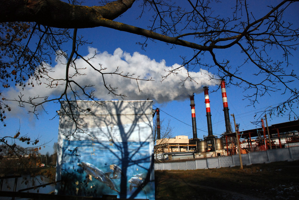 дельфин и ...