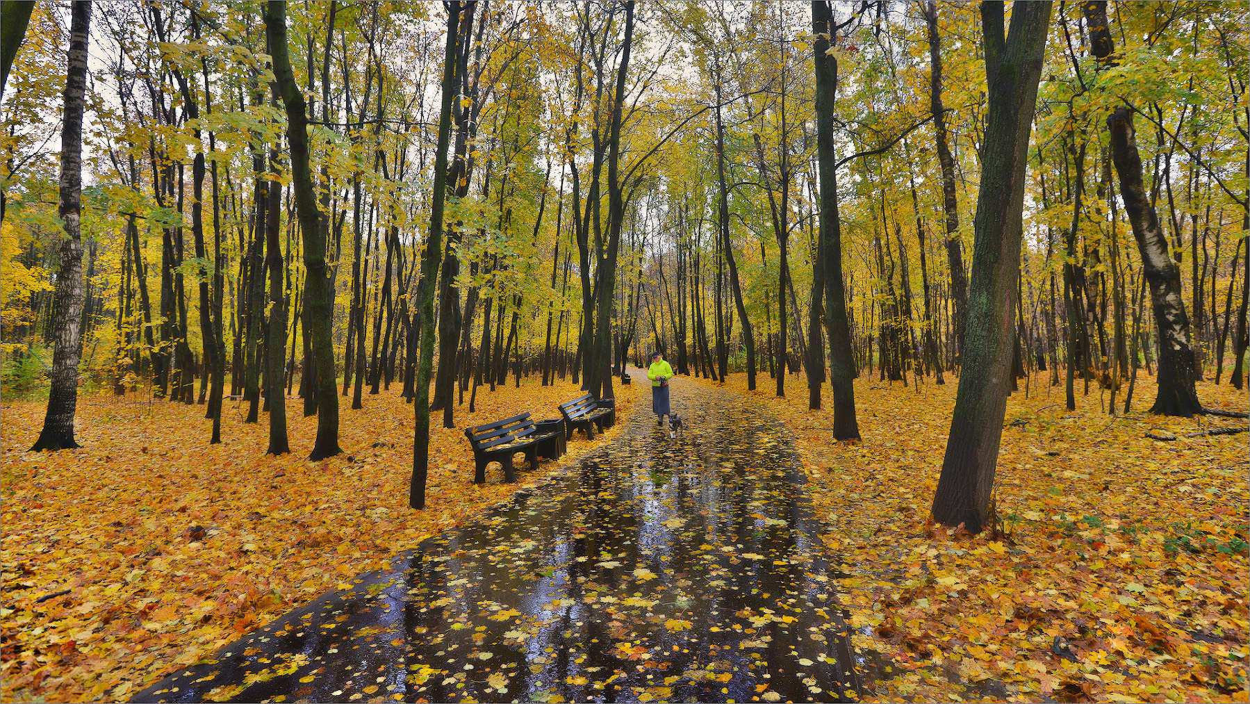 "Дама с собачкой"...