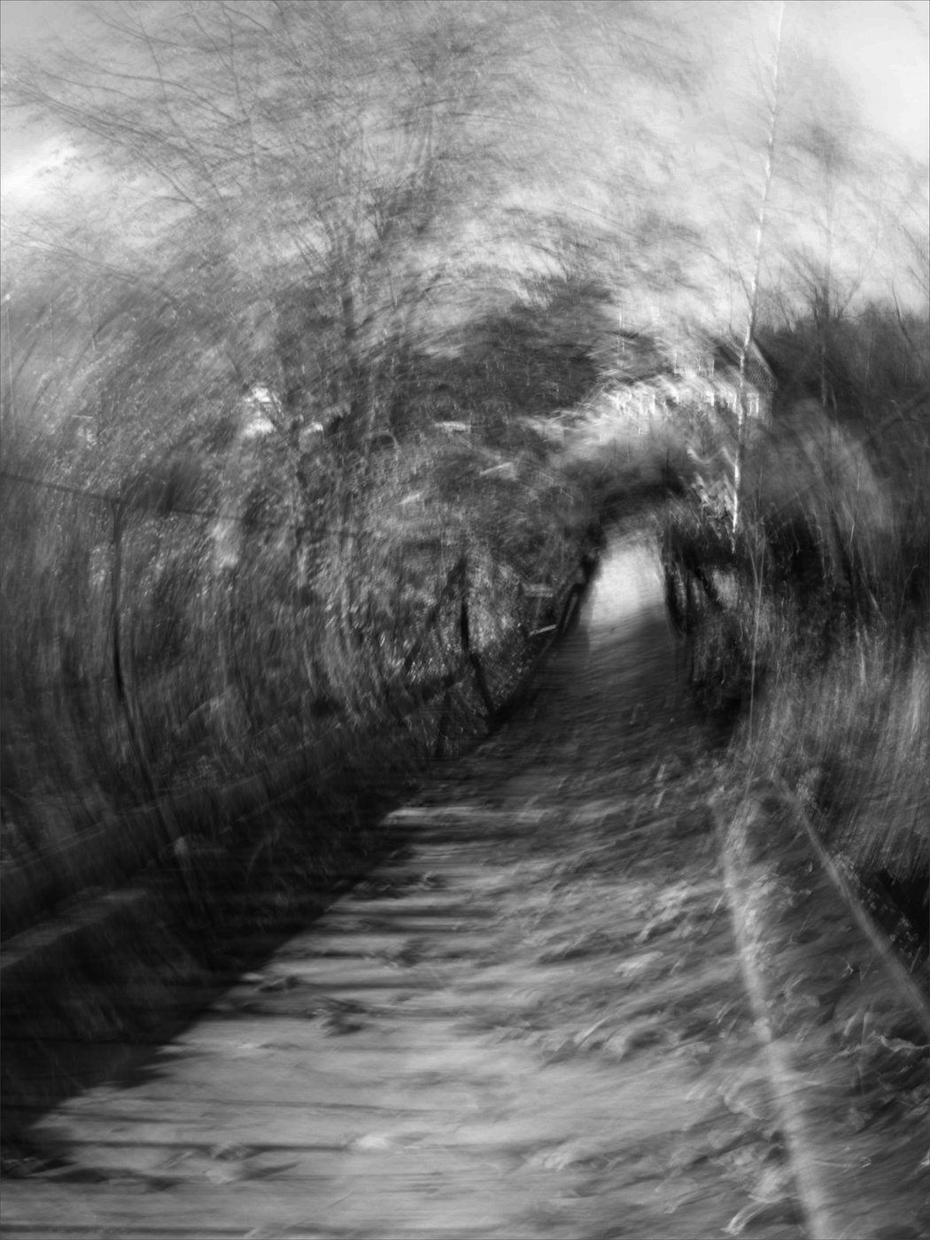 Жизнь вокруг