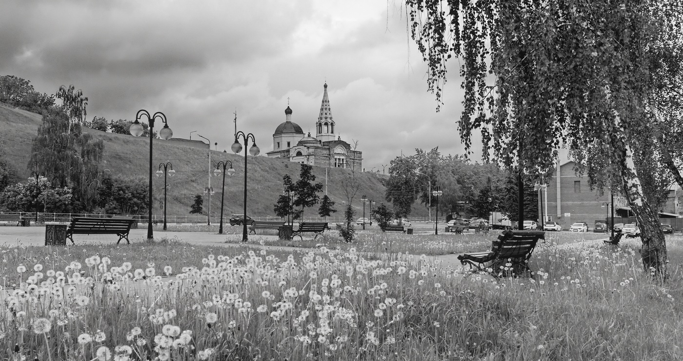 Одуванчики в старом городе С.