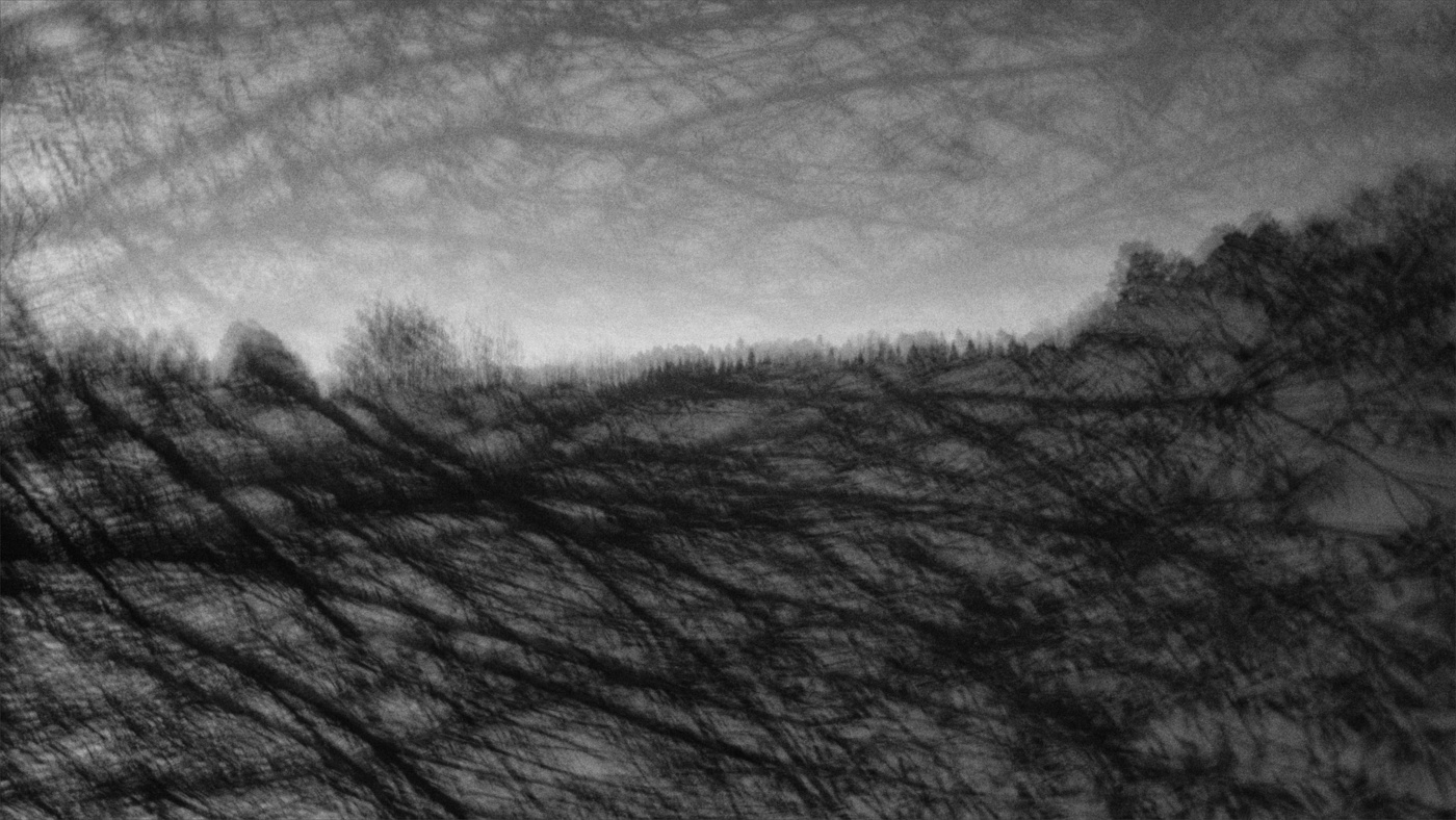 Жизнь вокруг