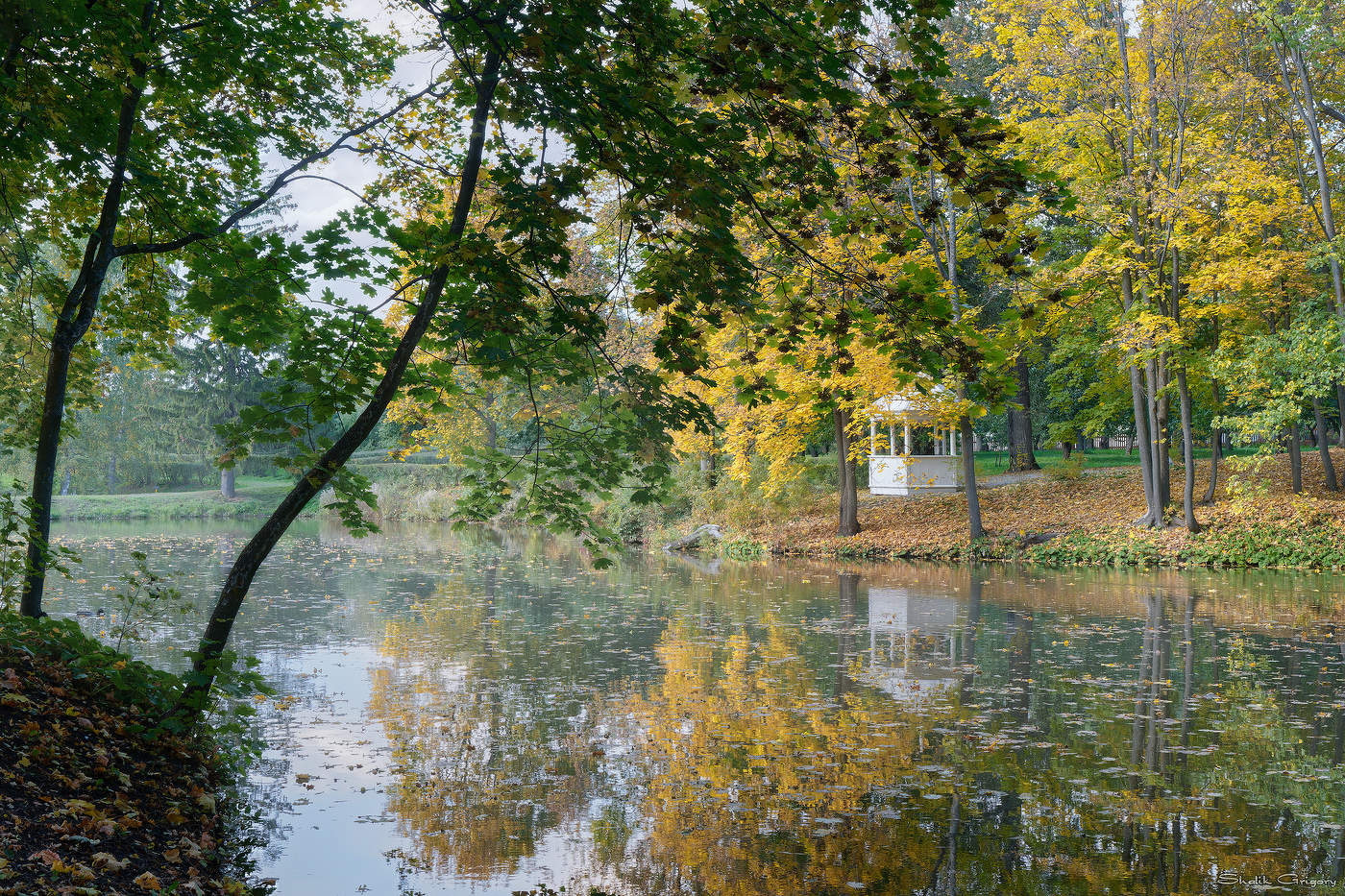 Осеннее утро