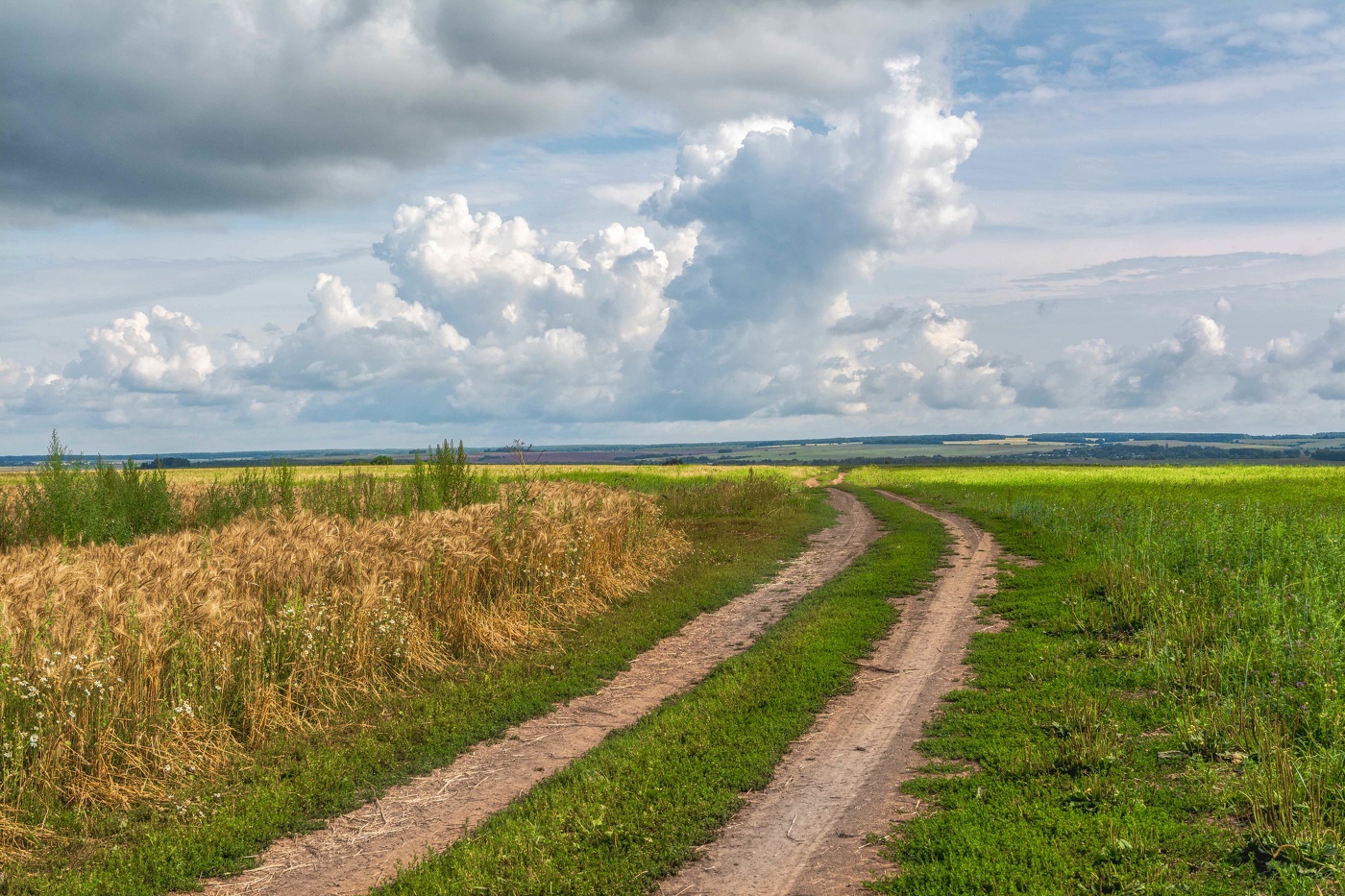 Русские пейзажи