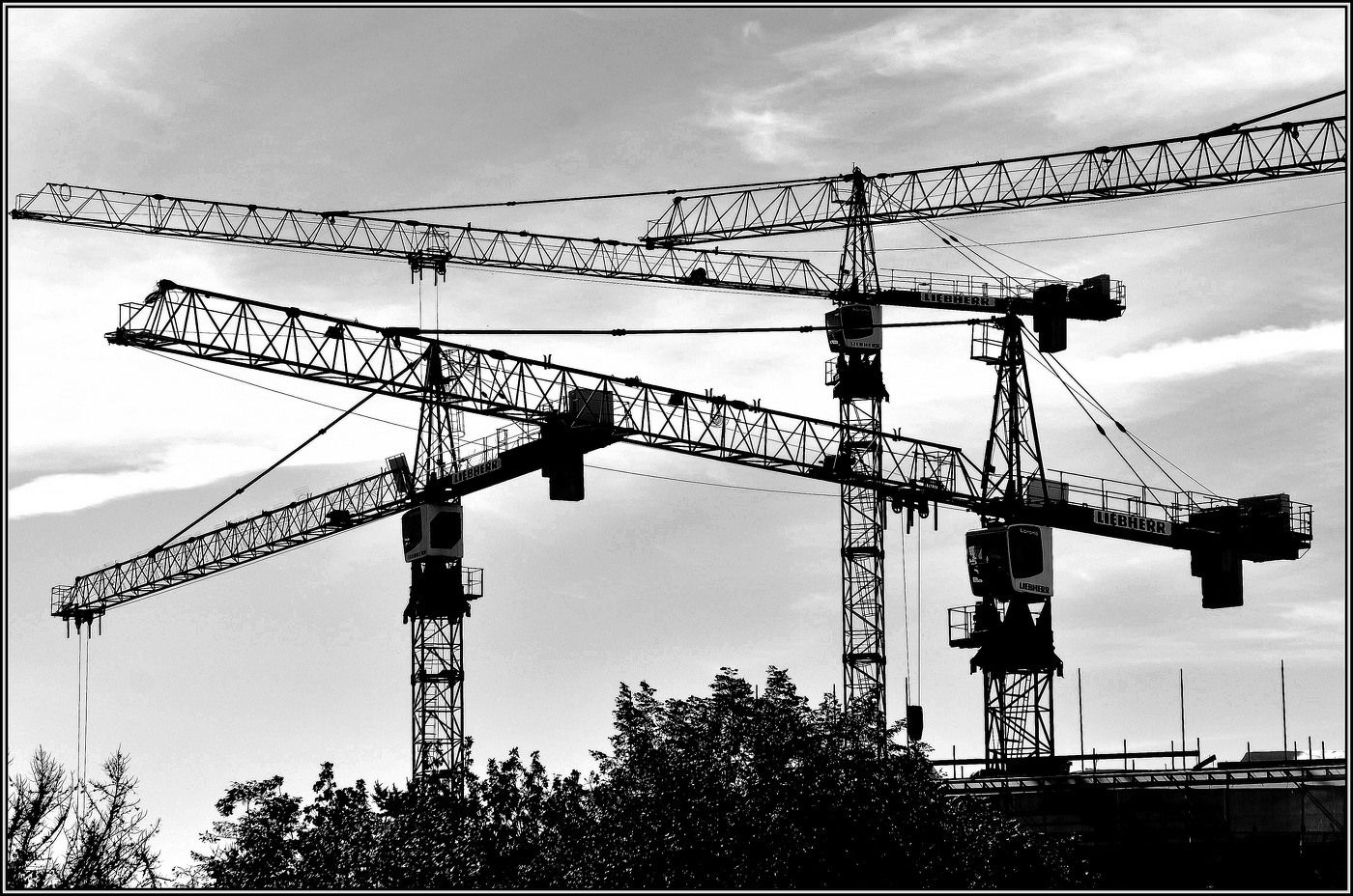 ..... Великаны .....