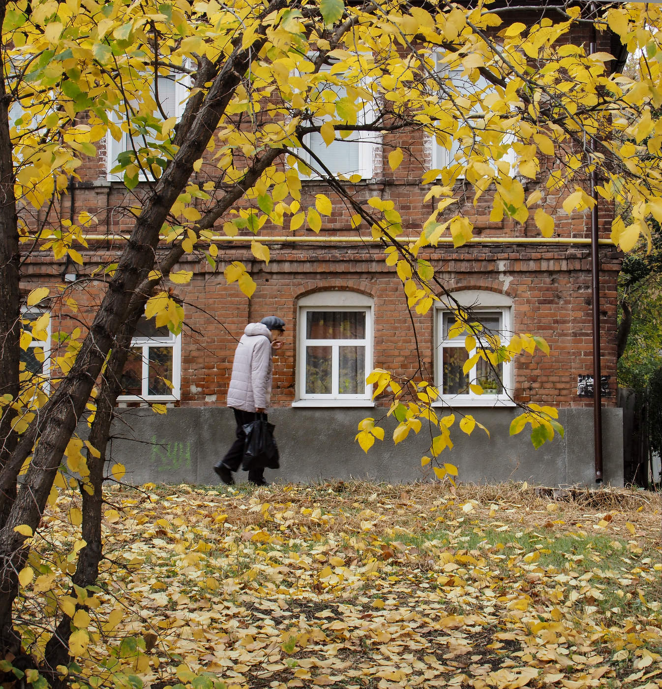 Осень жизни