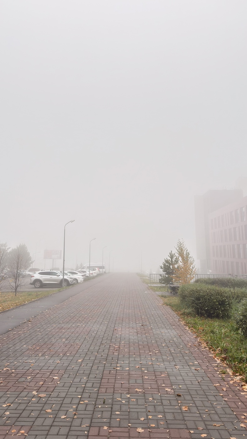 Туман осенний