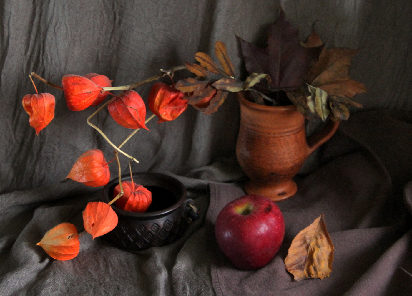 Натюрморт с физалисом!