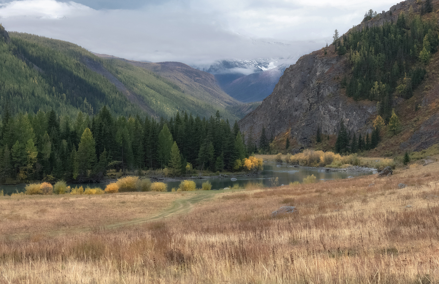 Осенняя Чуя