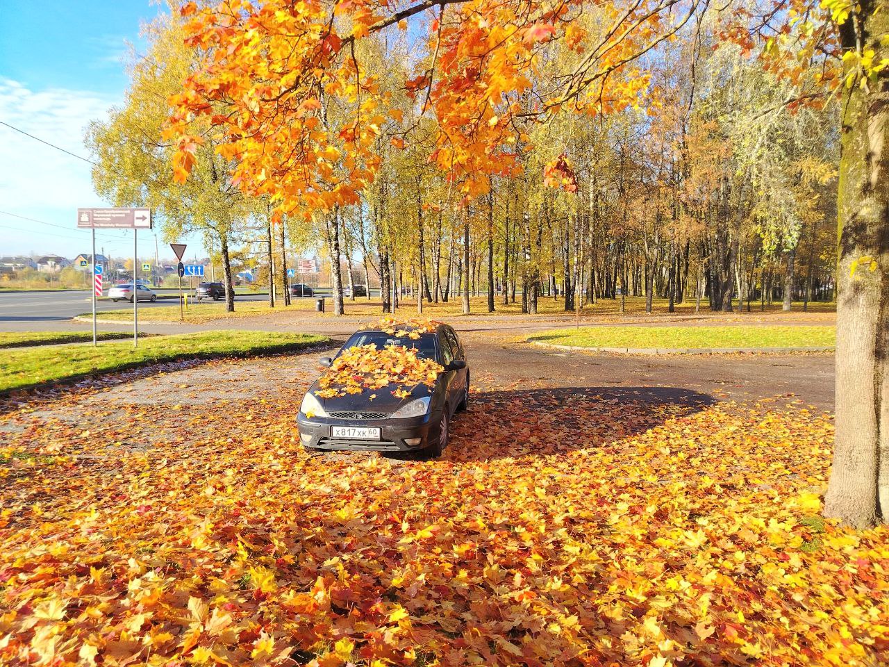 Осенний натюрморт