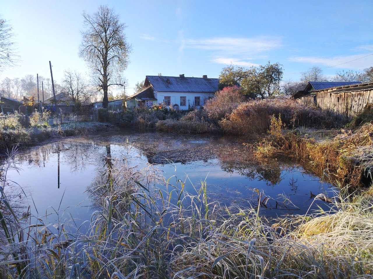 утренняя изморозь