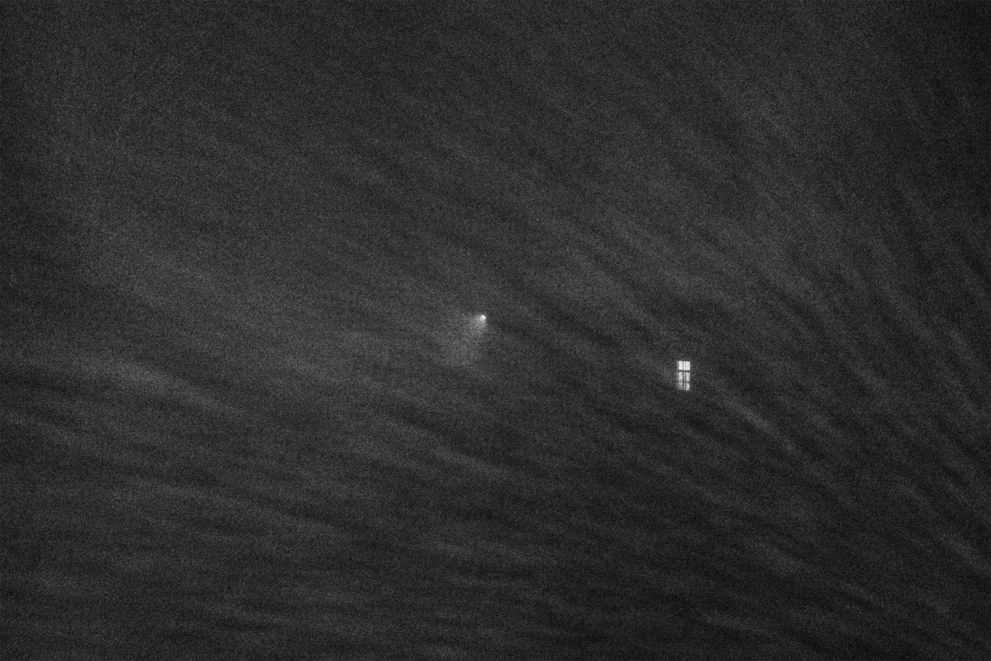 Жизнь вокруг