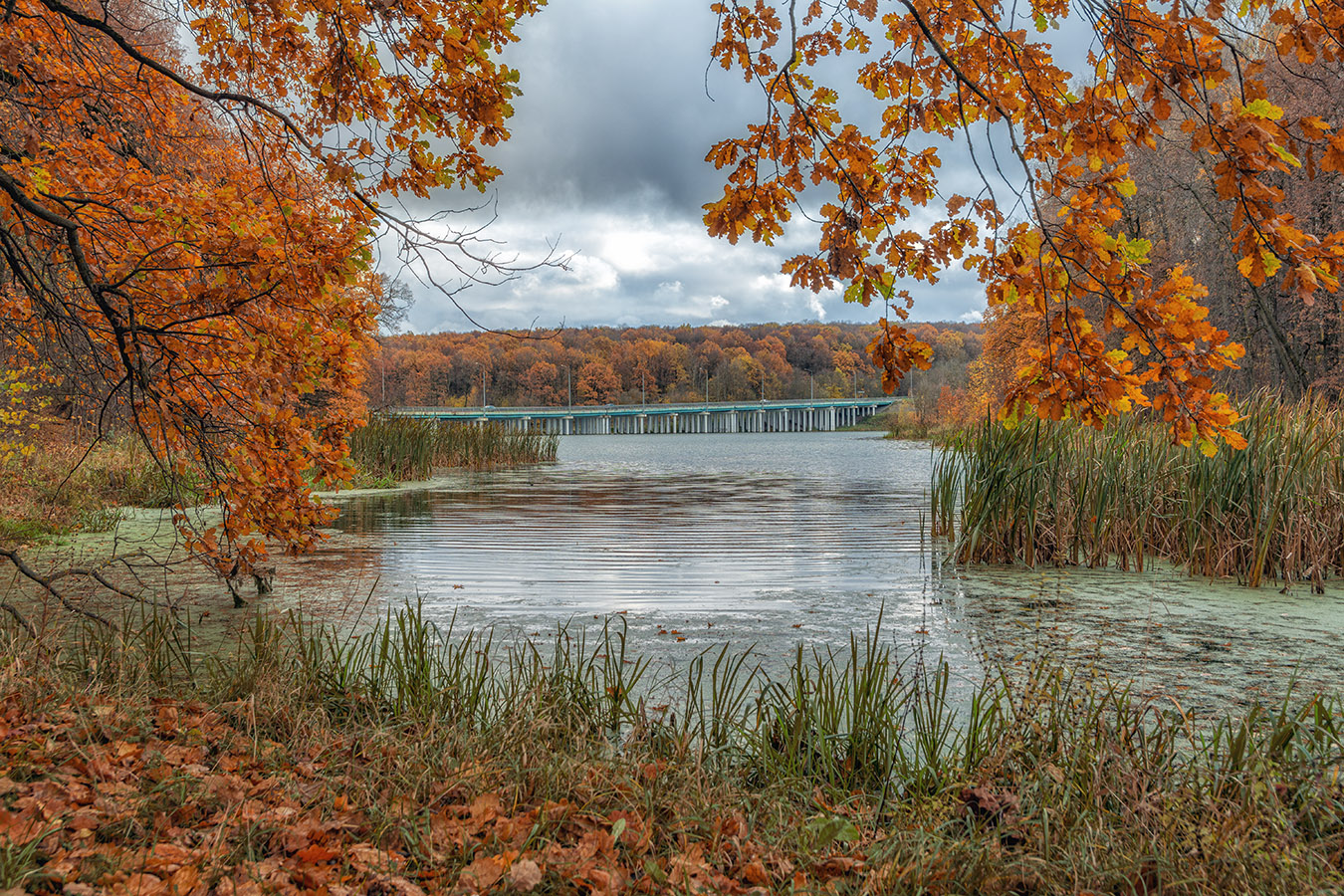 Краски осени.