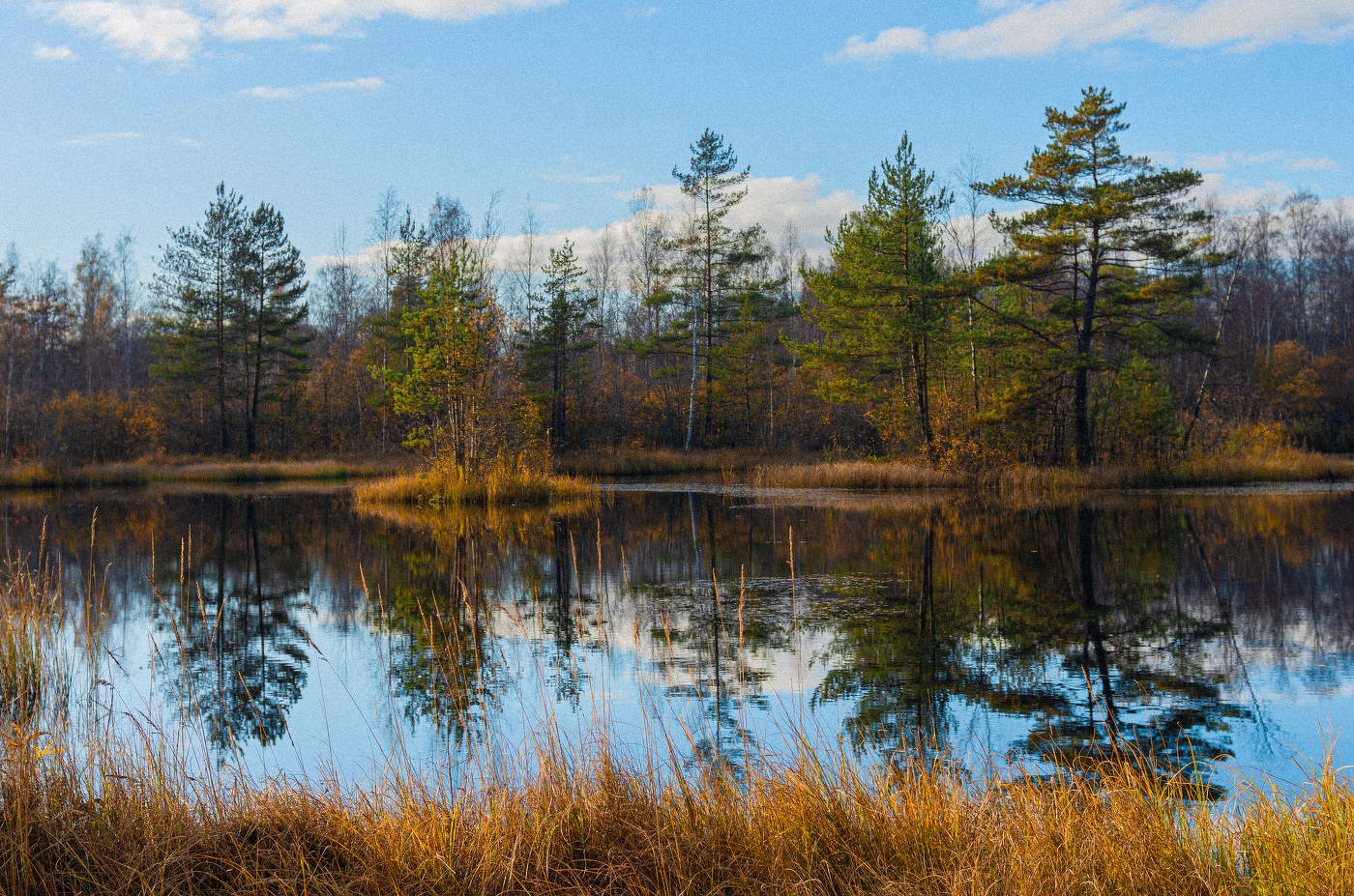 Сестрорецкое болото