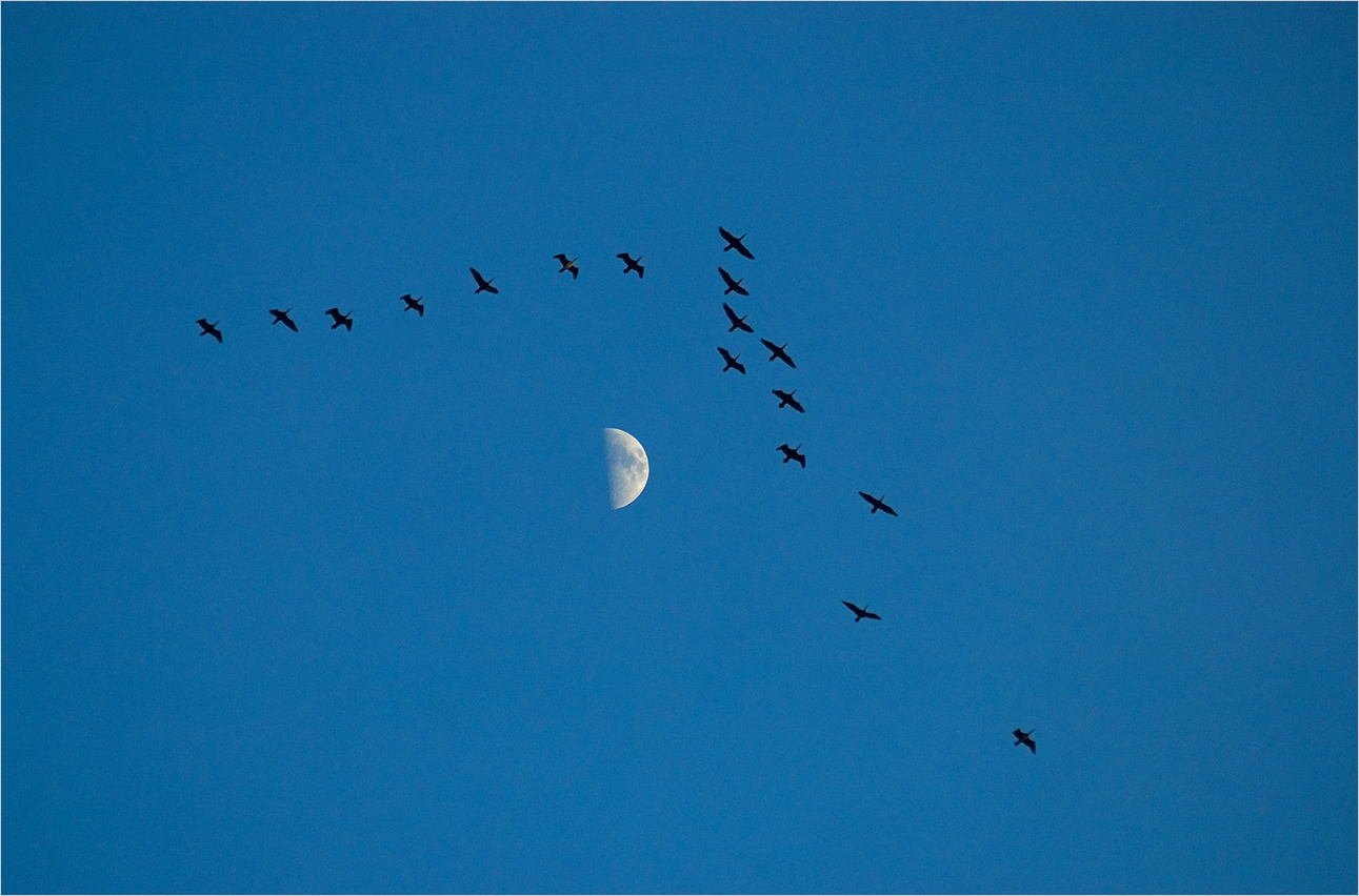 Простой сюжет