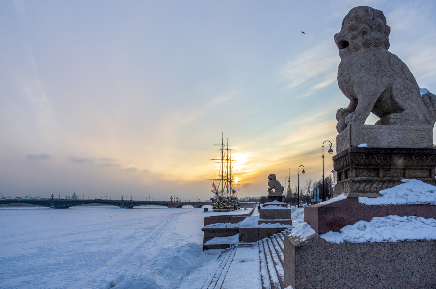 Львы Ши-Цза на Петровской набережной.