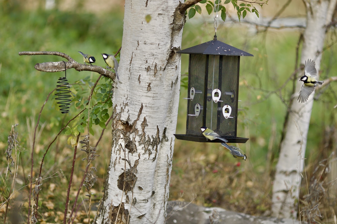 все включено*