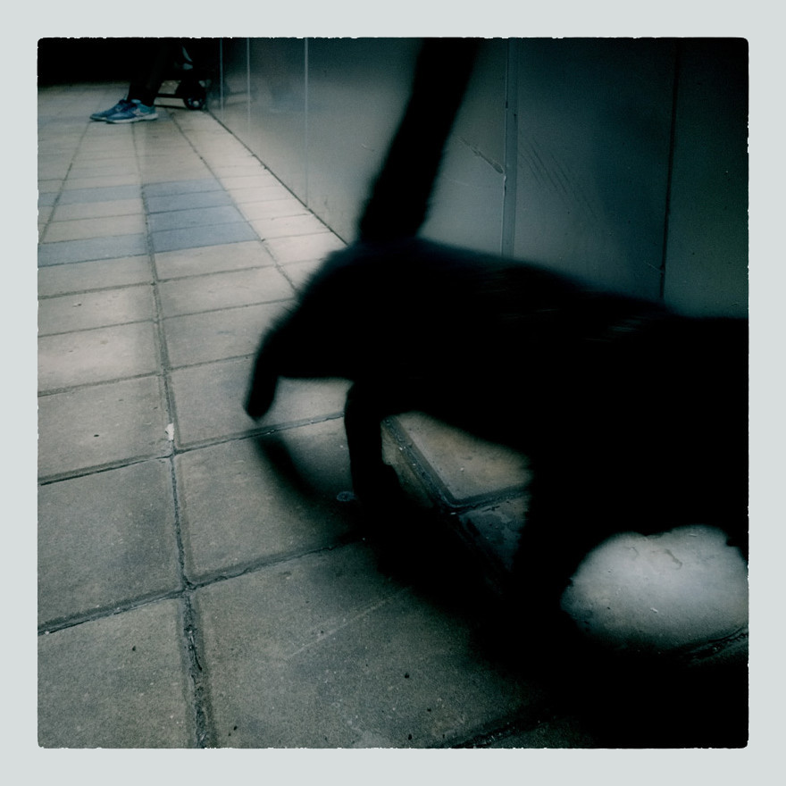 Ночные встречи