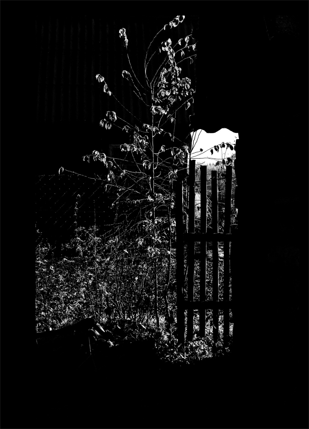 Жизнь вокруг