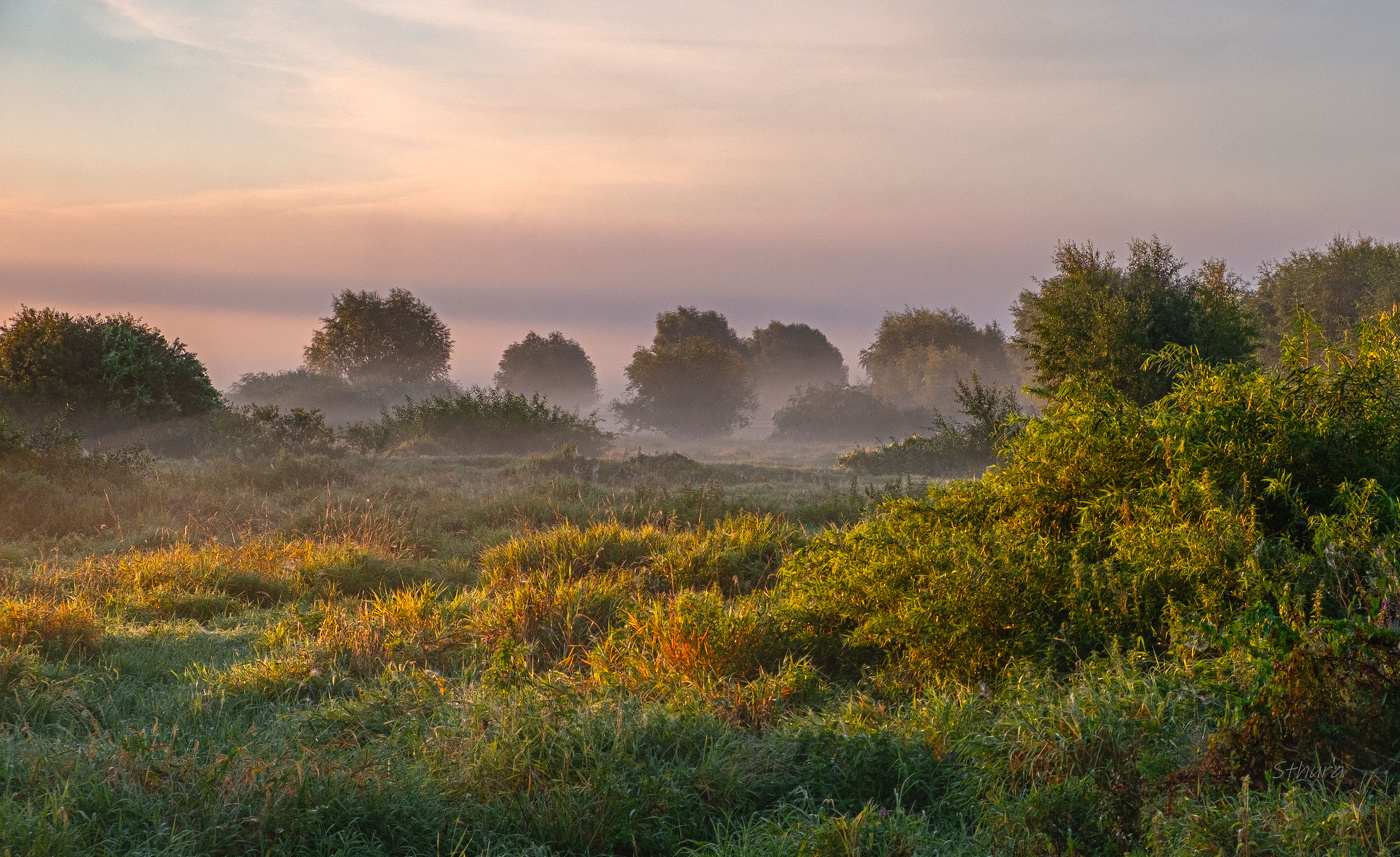 На рассвете в августе.