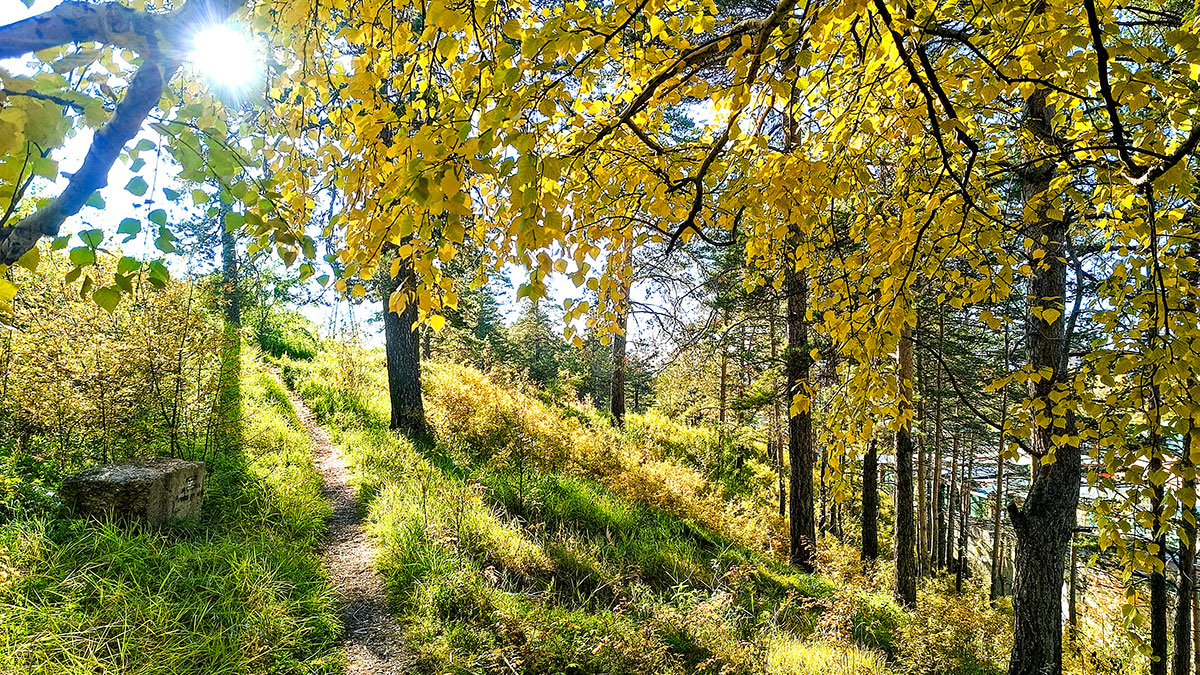 Золотое настроение
