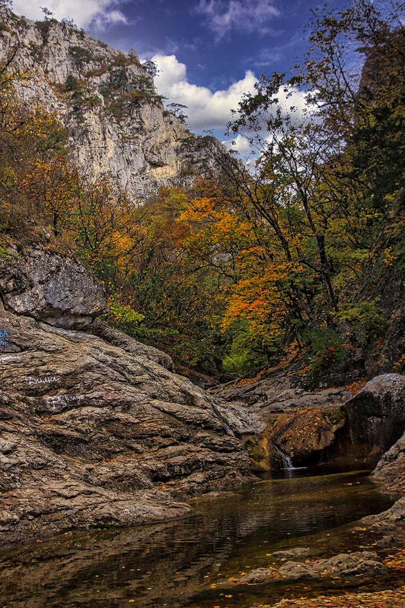"Ванна молодости"