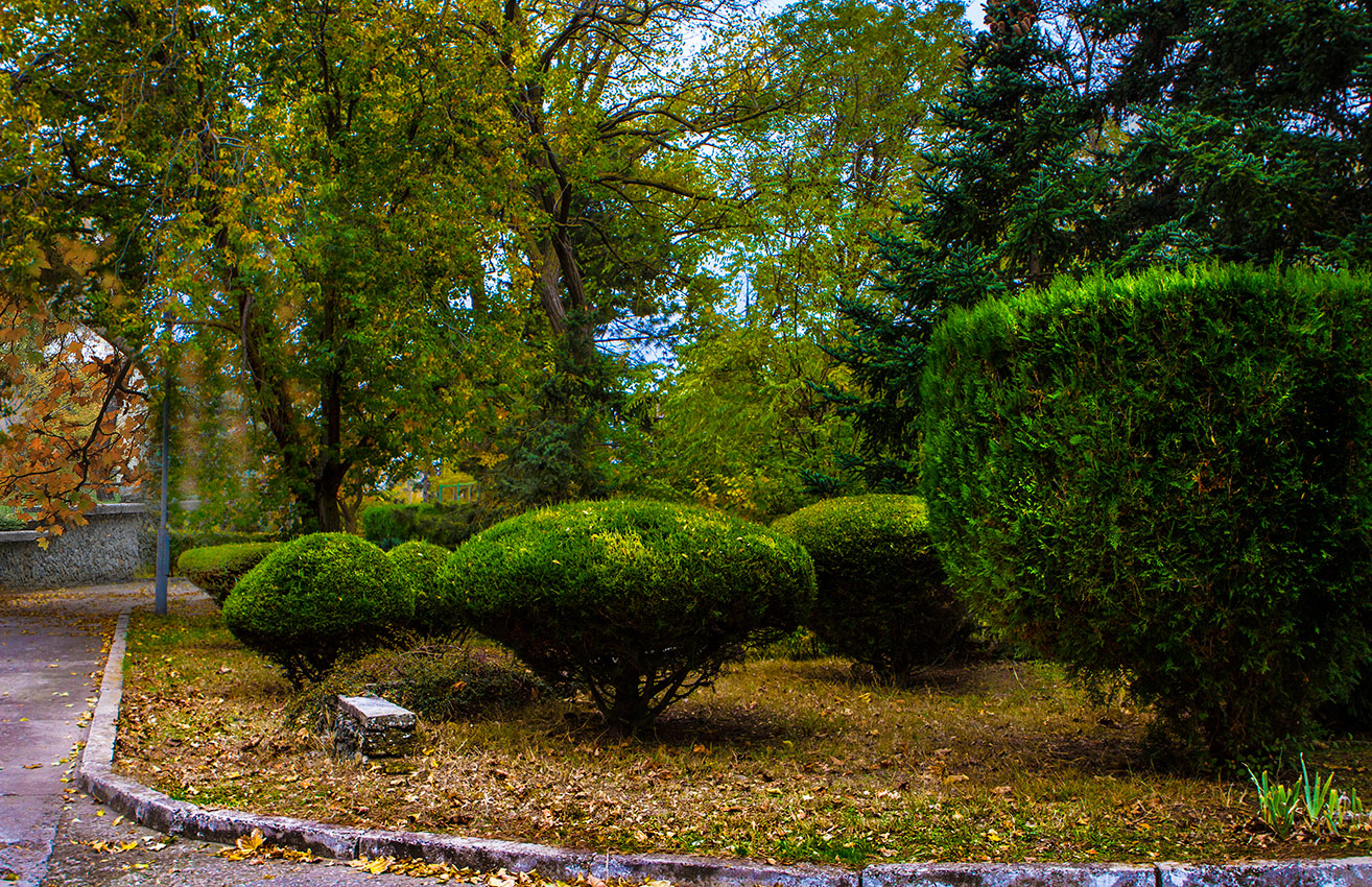 Парковая зона -2