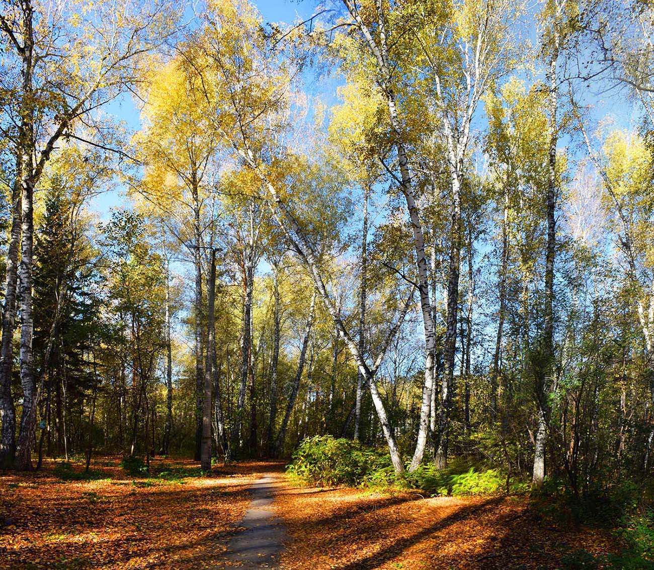Последния ясные дни сентября