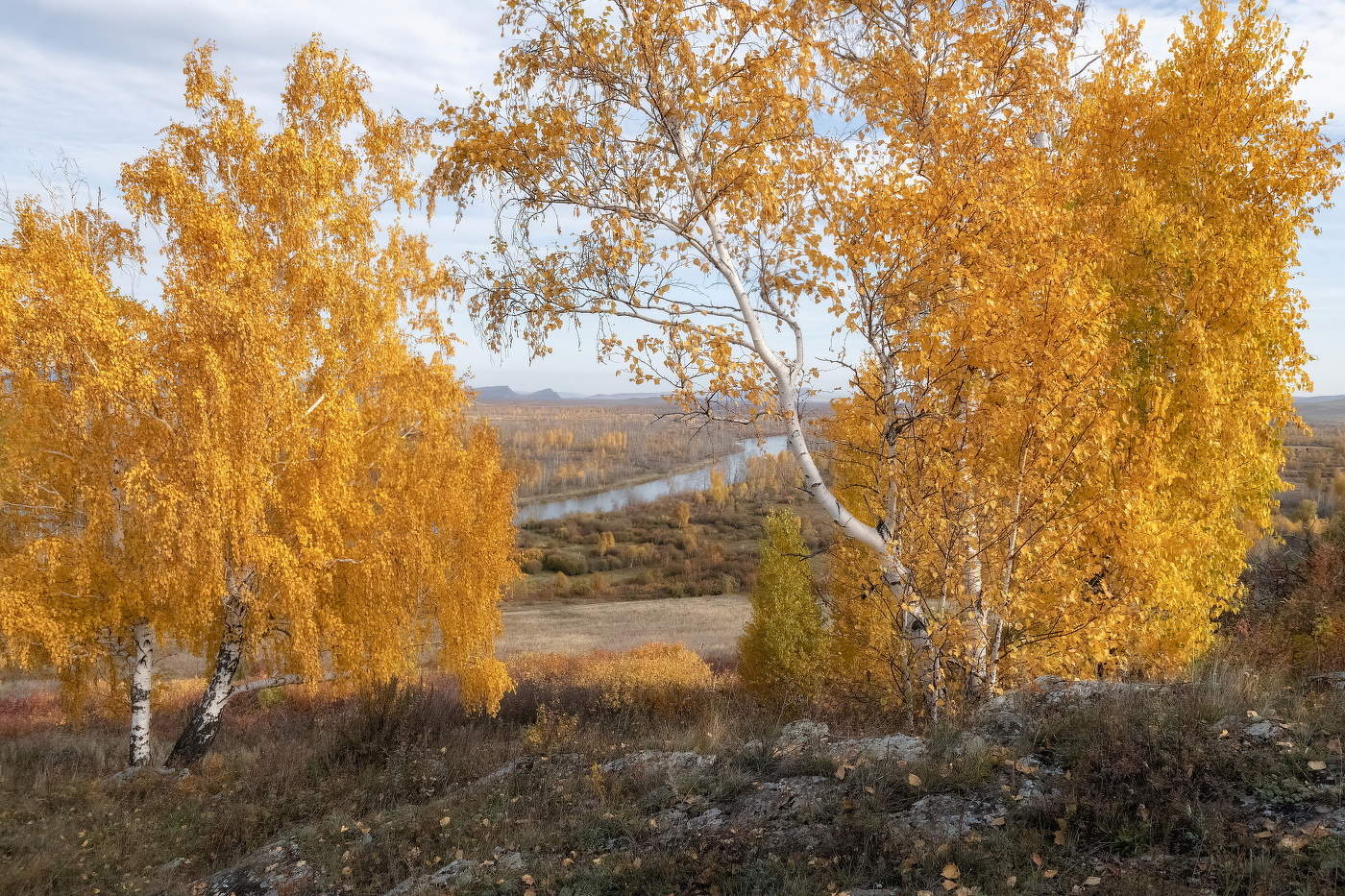 Золотая осень