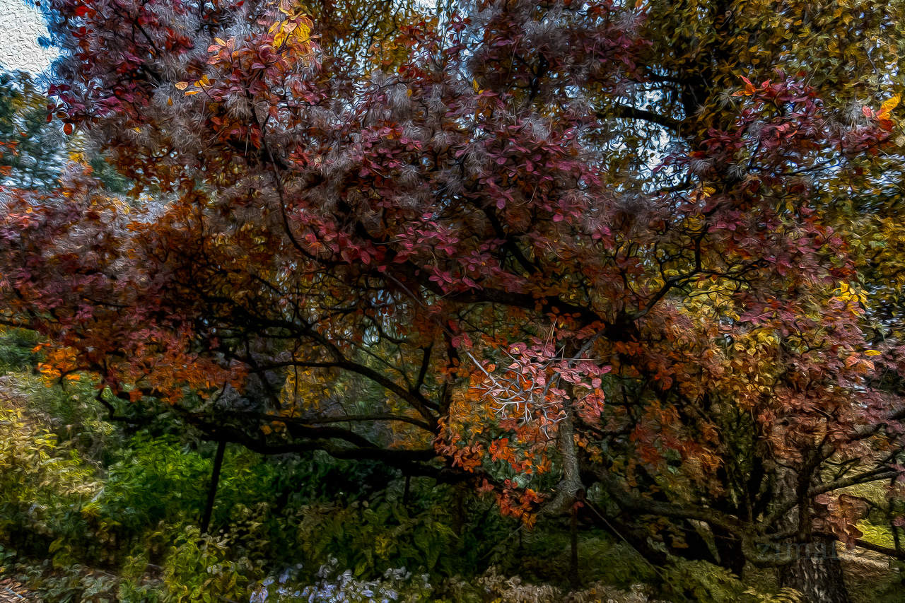 краски осени