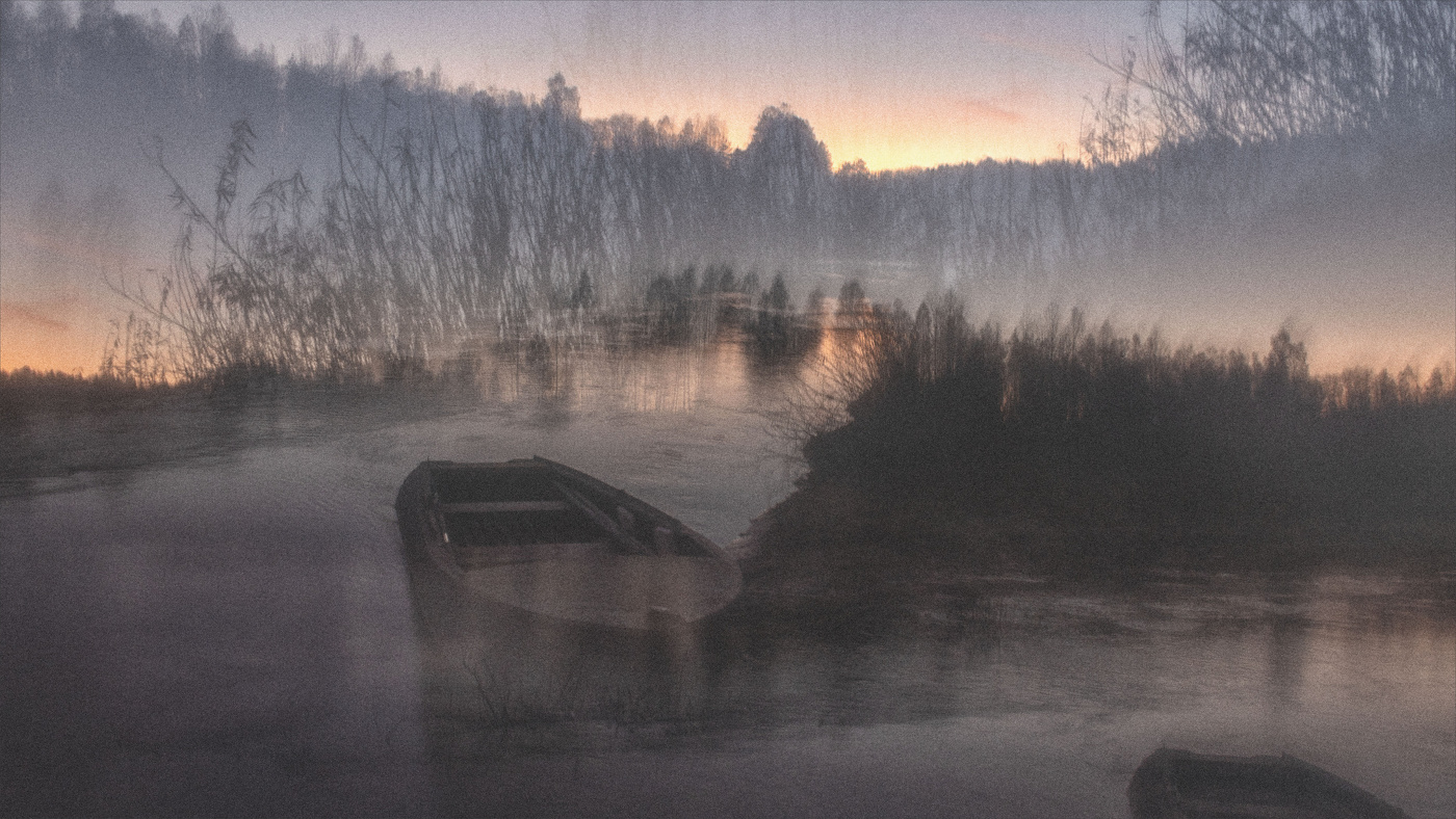 Жизнь вокруг