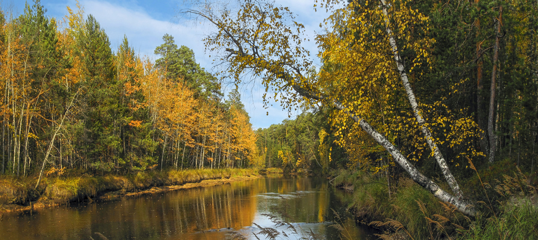 Прекрасные осенние деньки... и мягкое тепло, и прелесть увяданья...