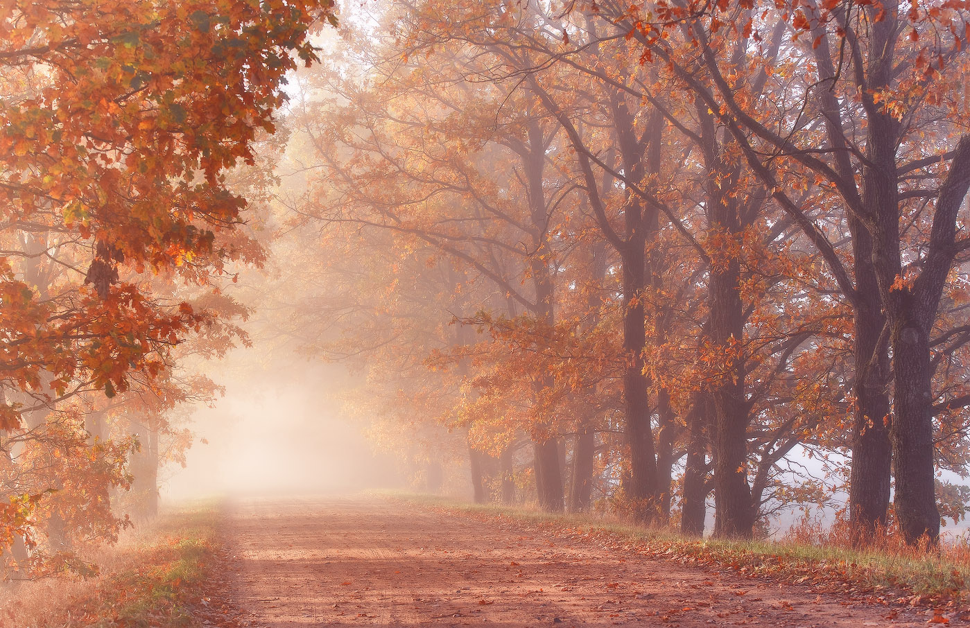 Дорога в Золотую Осень