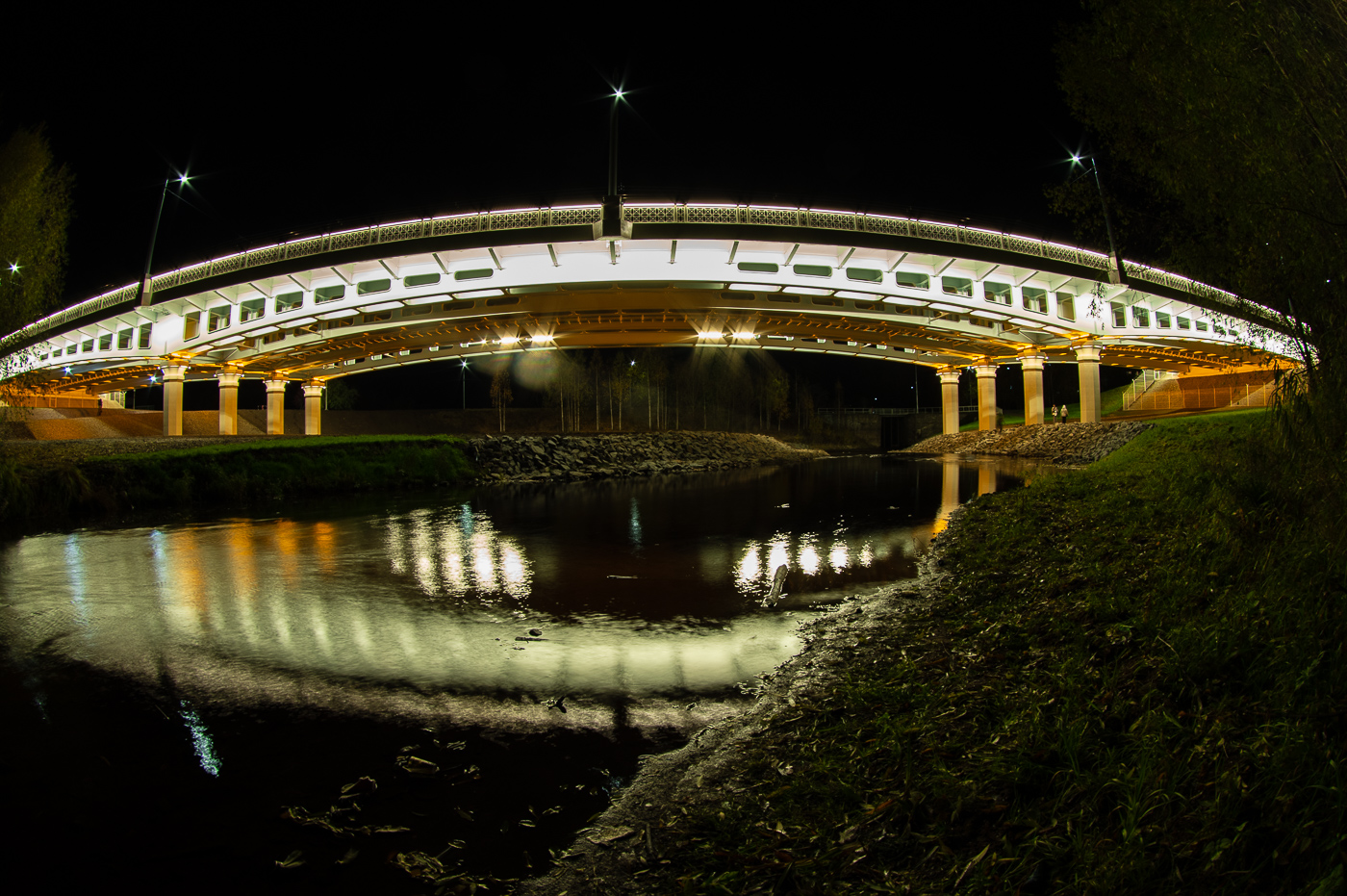 Лобановский мост