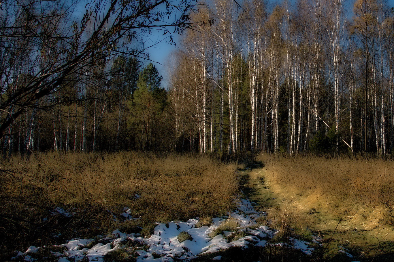 **Октябрьский снег.