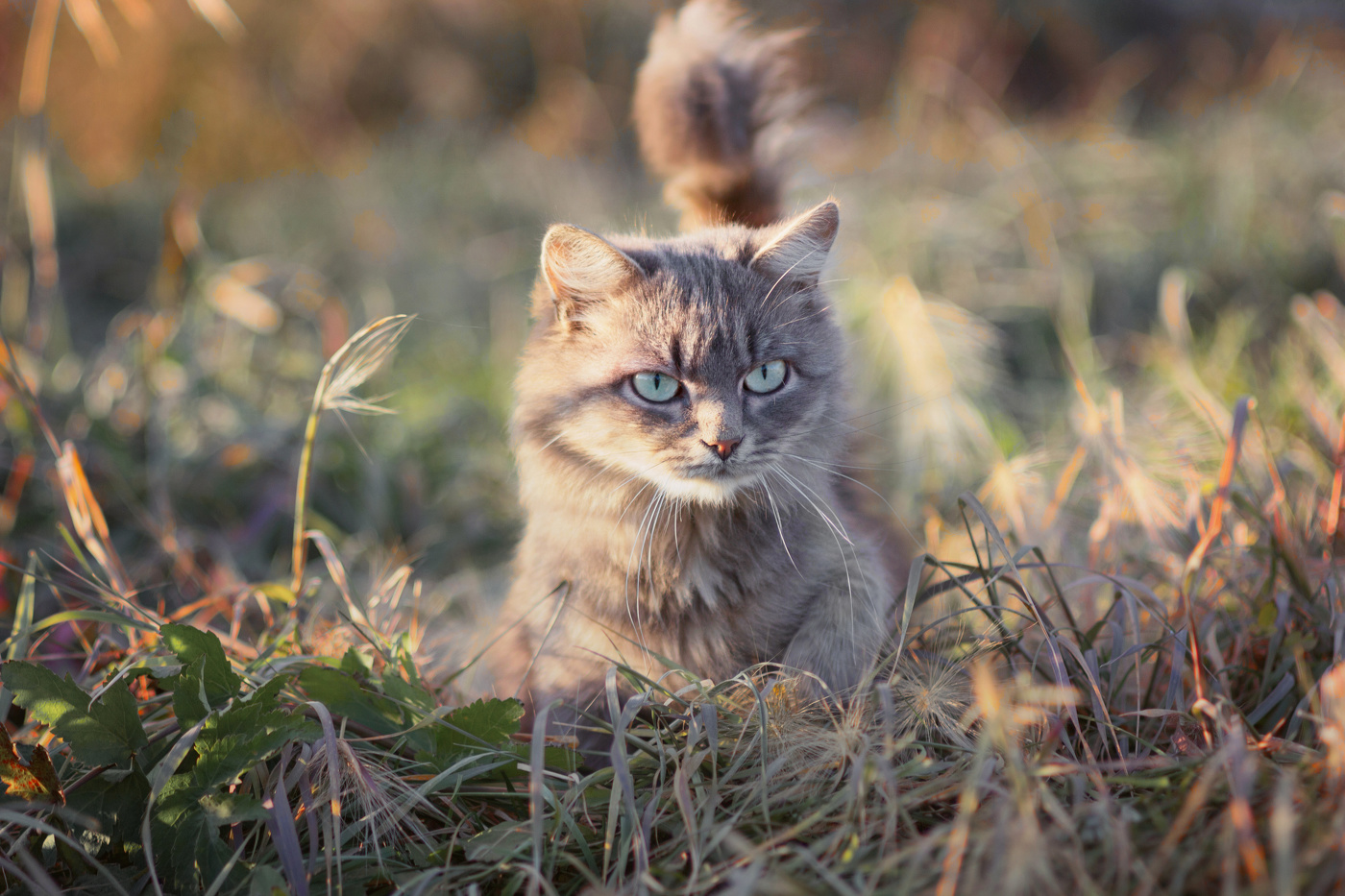 "Эмоциональный портрет"